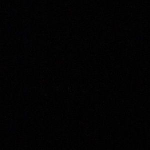 Meet your Posher, Landon